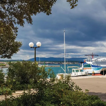 In With Wifi マリンスカ